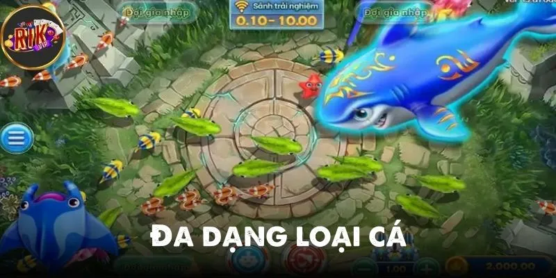 Bắn cá đổi thưởng