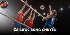 Cá cược bóng chuyền - Hướng dẫn thực chiến cho người mới 2025