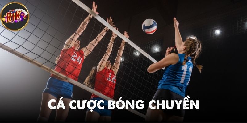 Cá cược bóng chuyền - Hướng dẫn thực chiến cho người mới 2025
