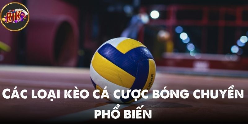 Các loại kèo bóng chuyền phổ biến thắng đậm