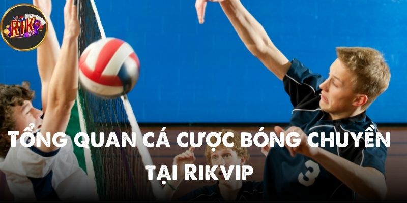 Tổng quan cá cược bóng chuyền tại Rikvip mới nhất