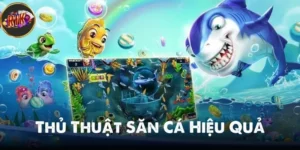 thủ thuật săn cá hiệu quả
