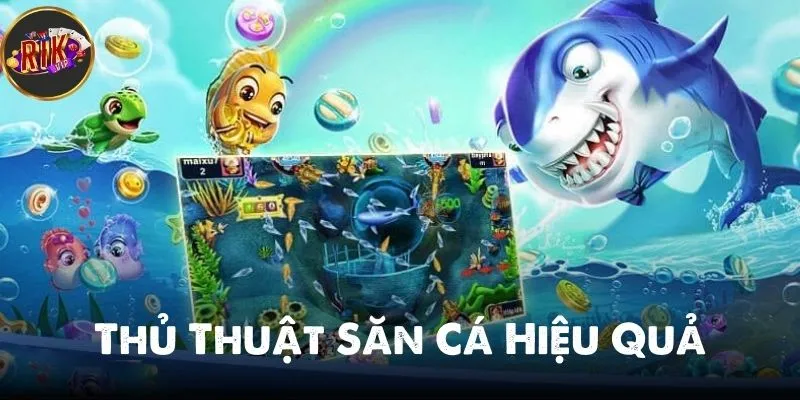 thủ thuật săn cá hiệu quả
