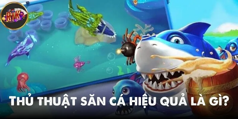 thủ thuật săn cá hiệu quả