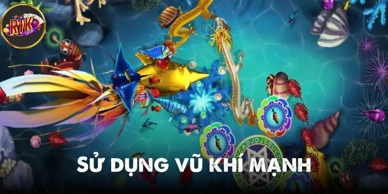 thủ thuật săn cá hiệu quả
